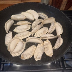 frozen-dumplings-4-standard.jpg