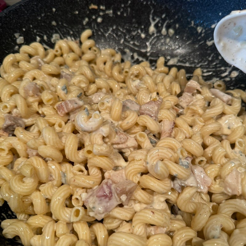 gorgonzola-garlic-pasta-9-standard.jpg