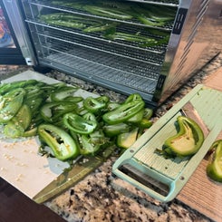 jalapeno-1-standard.jpg