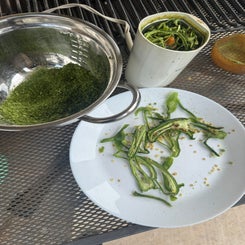 jalapeno-16-standard.jpg