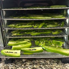 jalapeno-2-standard.jpg