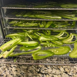 jalapeno-3-standard.jpg