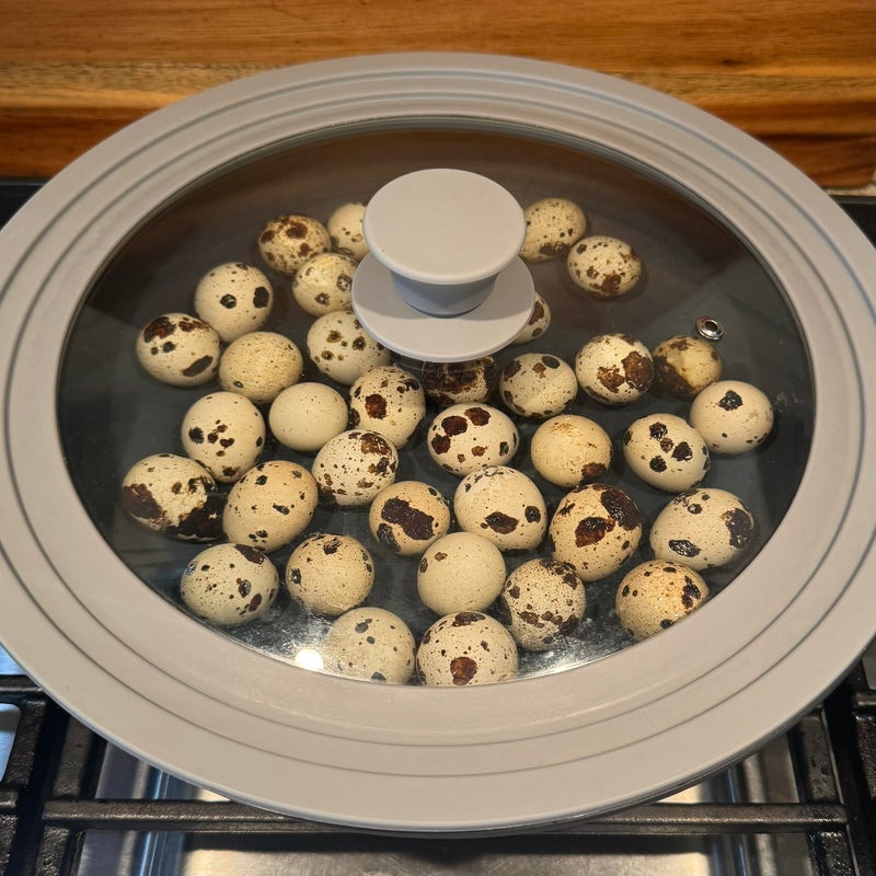 pickled-quail-eggs-3-standard.jpg