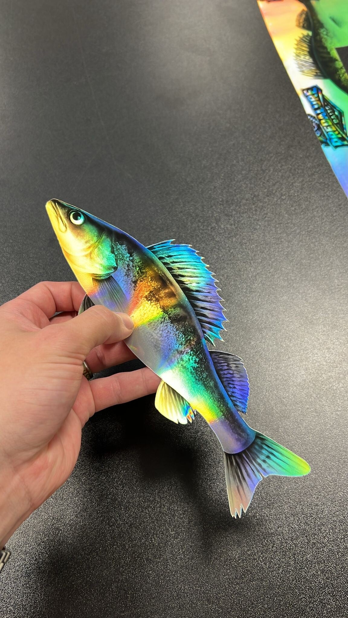 Hologrammi kuha -tarra 22 cm