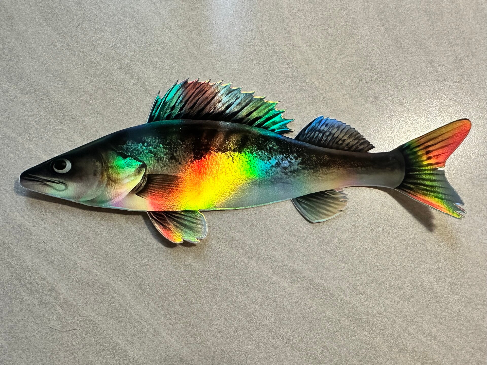 Hologrammi kuha -tarra 22 cm