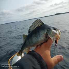 ykza3897-standard.jpg