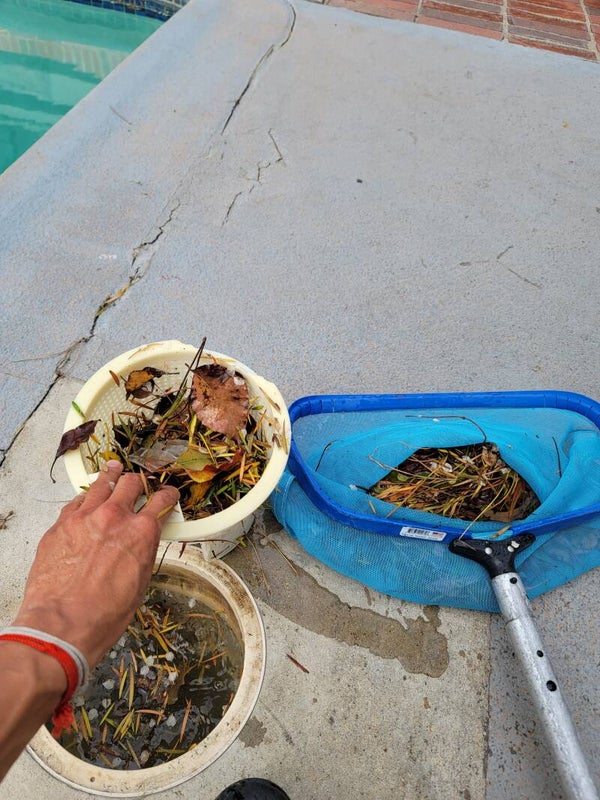 Residential Weekly Pool Service