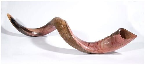 YEMINITE KUDU SHOFAR