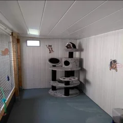 capturedcrans_20220420-185151-1.webp