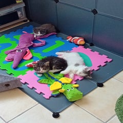 20230619_131844.jpg