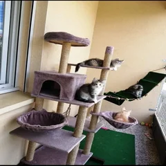 capturedcrans_20220420-185955.webp