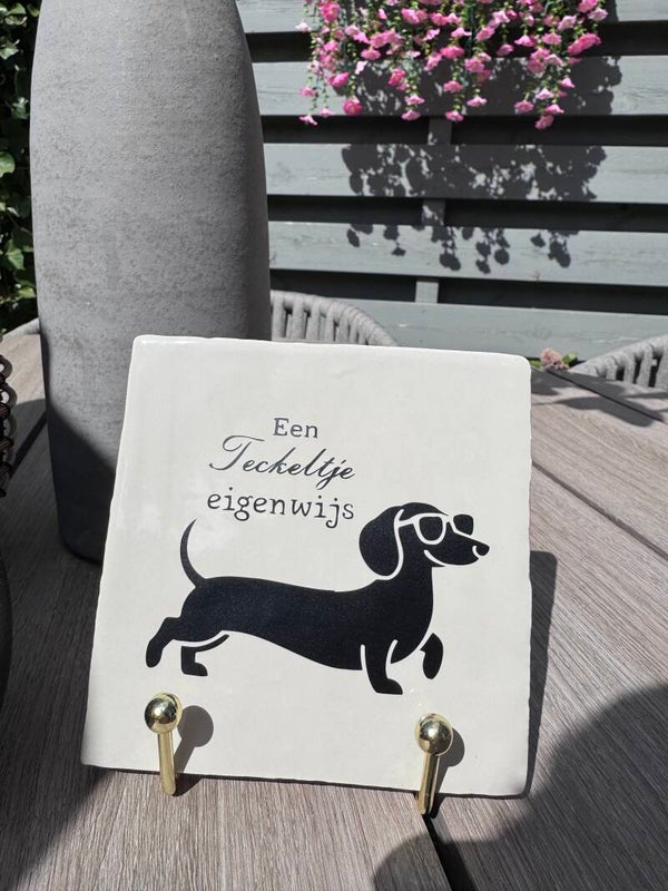 Teckeltje eigenwijs