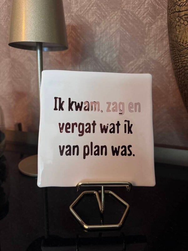 Tegel “Ik kwam, zag en vergat wat ik van plan was”