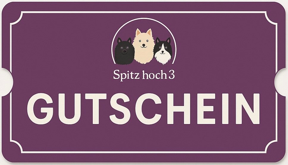 55€ Geschenkgutschein