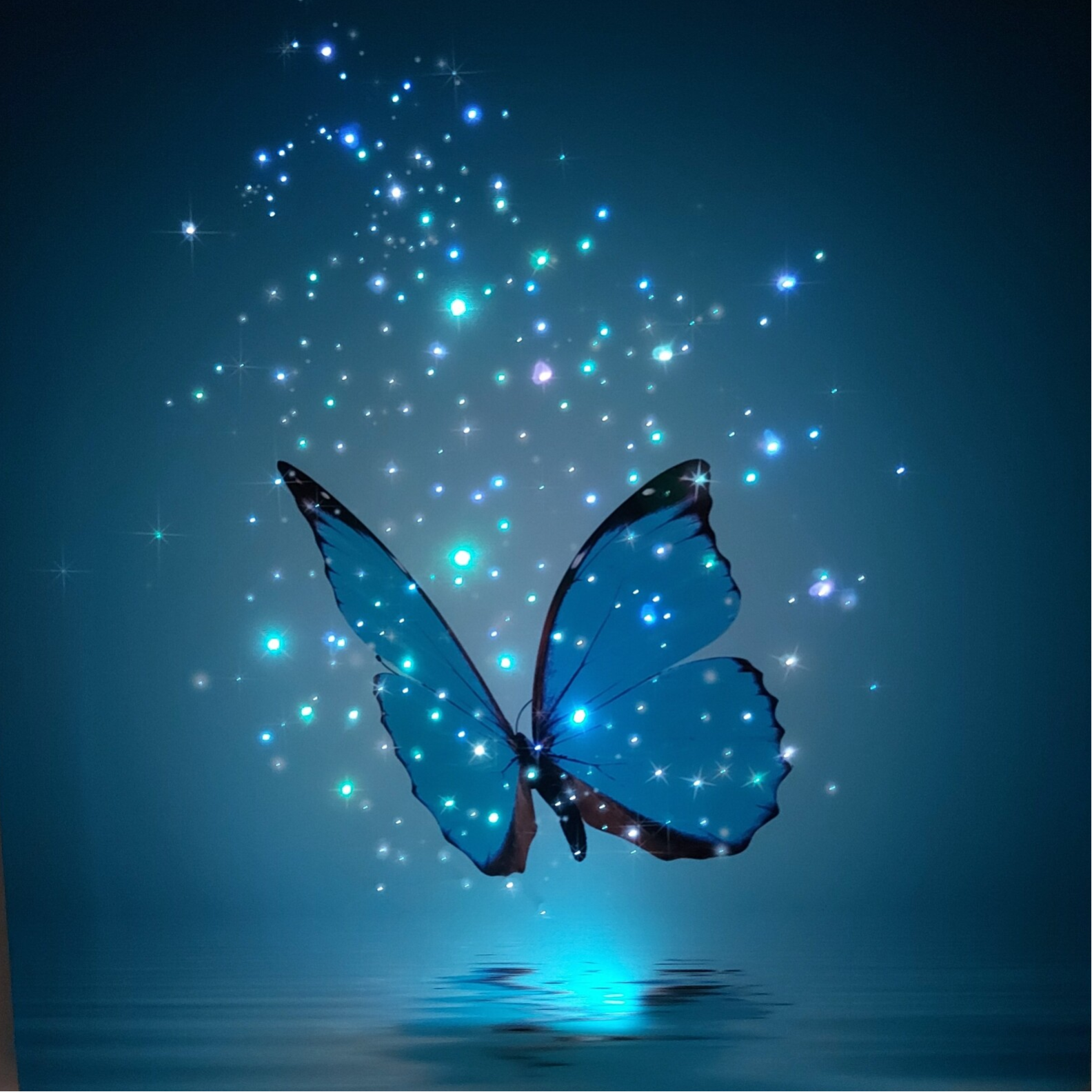 Starlight canvas art