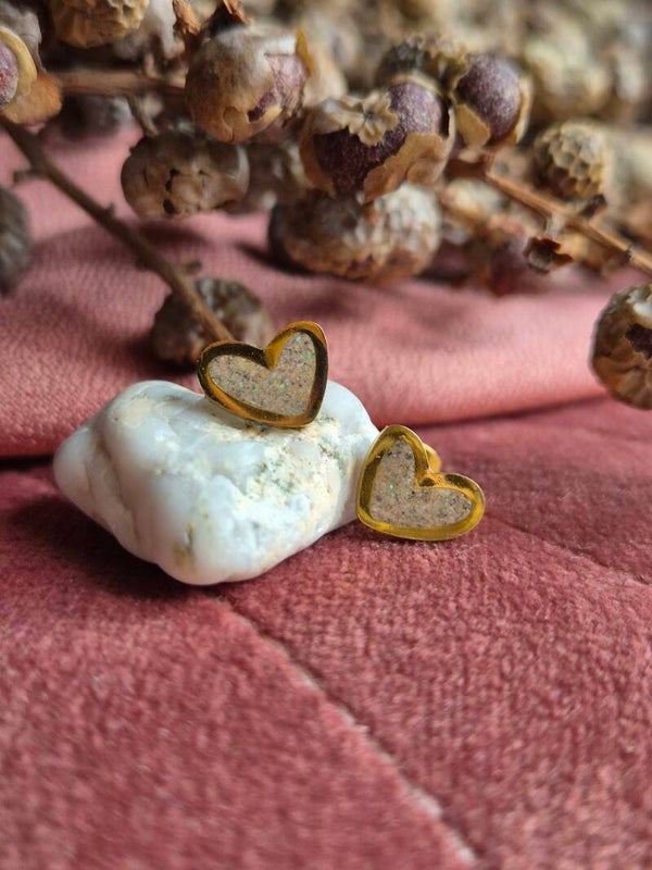 Hartjes oorbellen Roestvrij staal