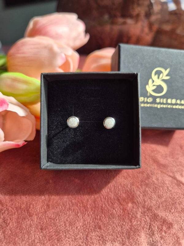 Oorbellen 6mm Roestvrij staal