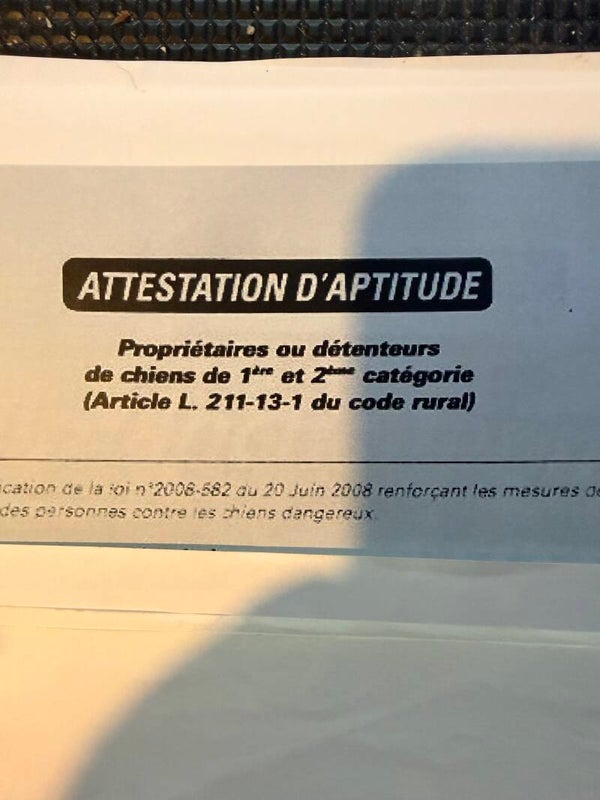Permis detention cat 1 et 2