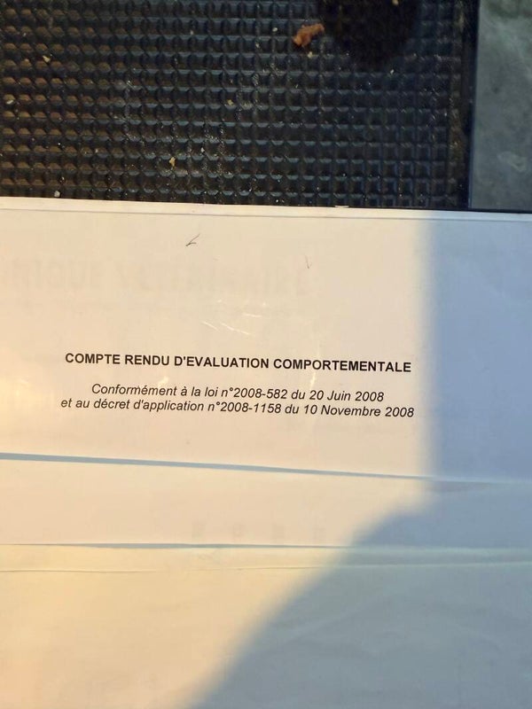 Evaluation comportementale Rottweiler