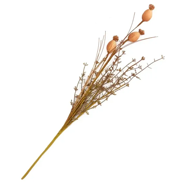 Veldboeketje papaver, roest