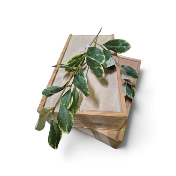 Tak geel groen lengte 70 cm