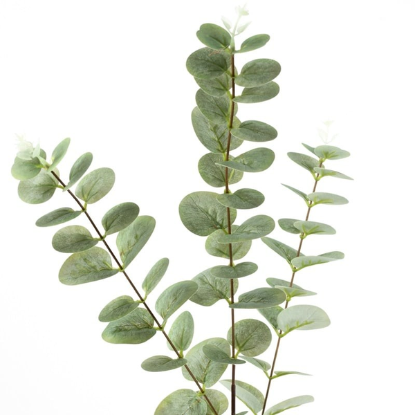 Kunstbloem Eucalyptus  82 cm