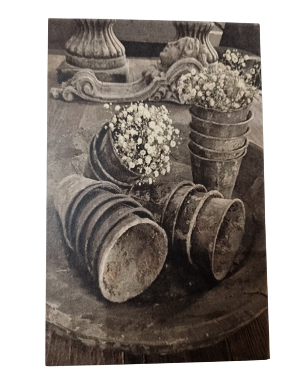Vintage kaart oude bloempotten en gipskruid