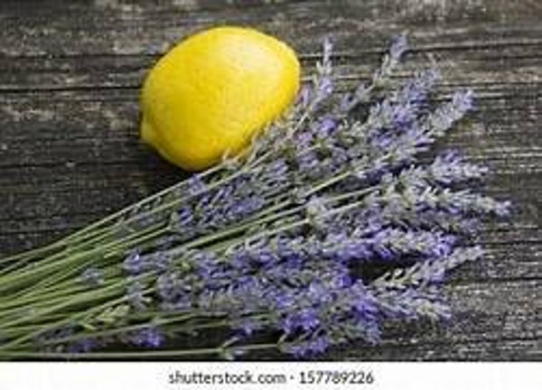 Lemon Lavender