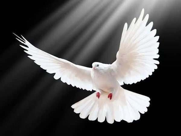 Soapy Doves