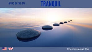 Tranquil Therapy