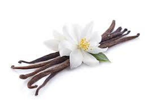 Vanilla Amber