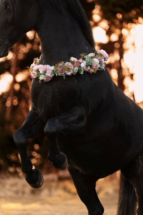 Pferdekranz „Blütentraum“
