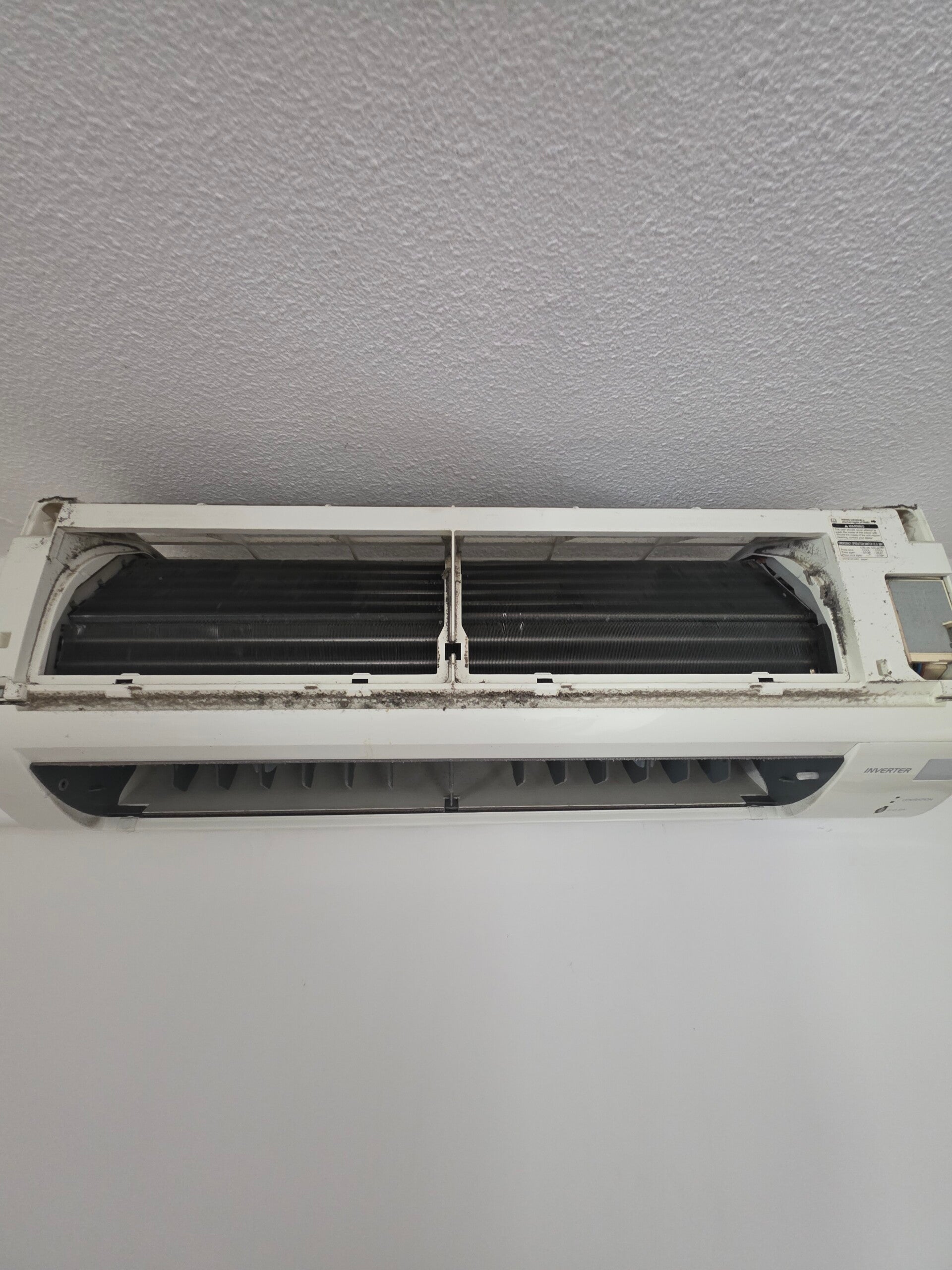 20260901_173247-standard.jpg