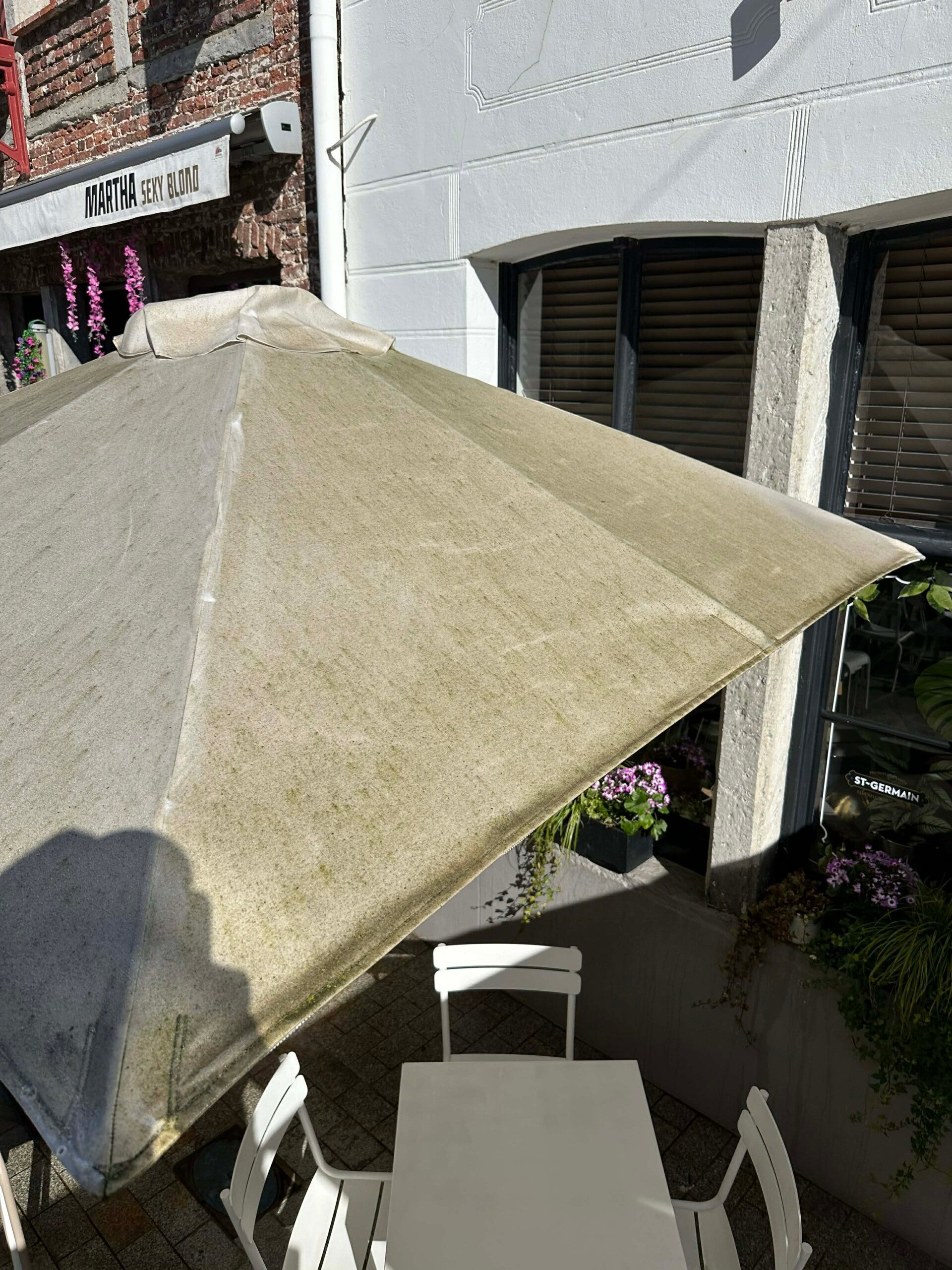b7780658-efae-464a-ba93-1d2f1815501b-standard-2zw66n.jpg