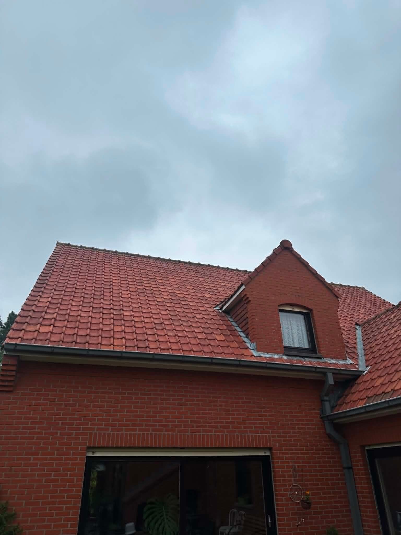ms-cleaning-dak-reiniging-2-standard.jpg