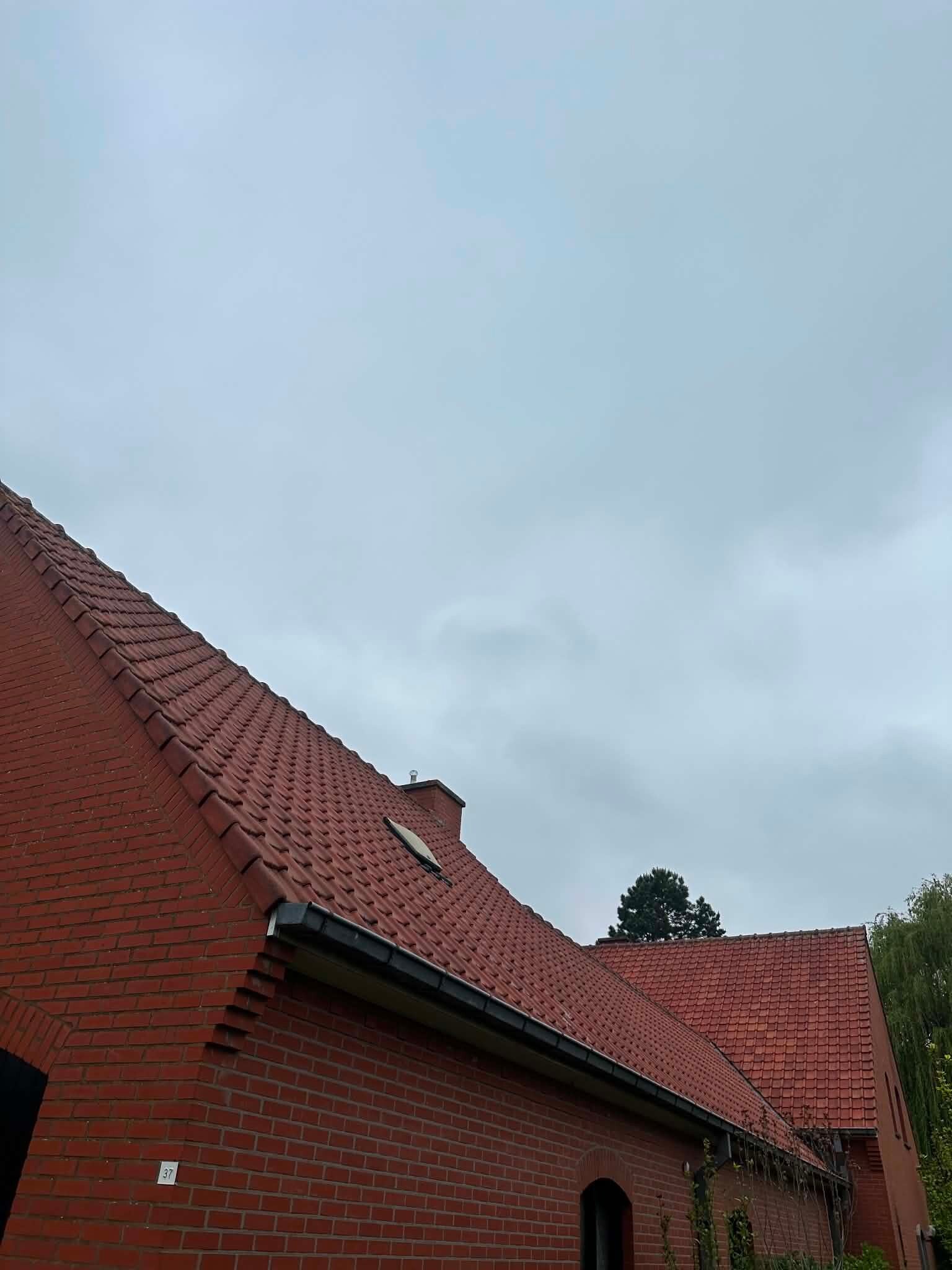ms-cleaning-dak-reiniging-4-standard.jpg