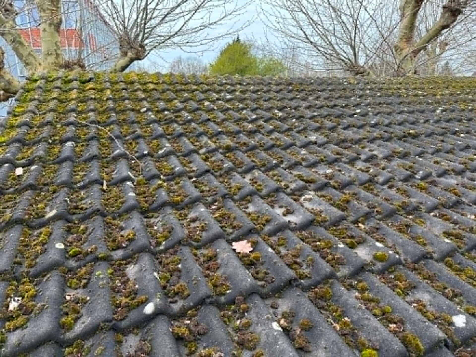 ms-cleaning-ontmossen-dak-1-standard.jpg