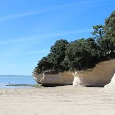marche-consciente-gemozac-saintes.jpg