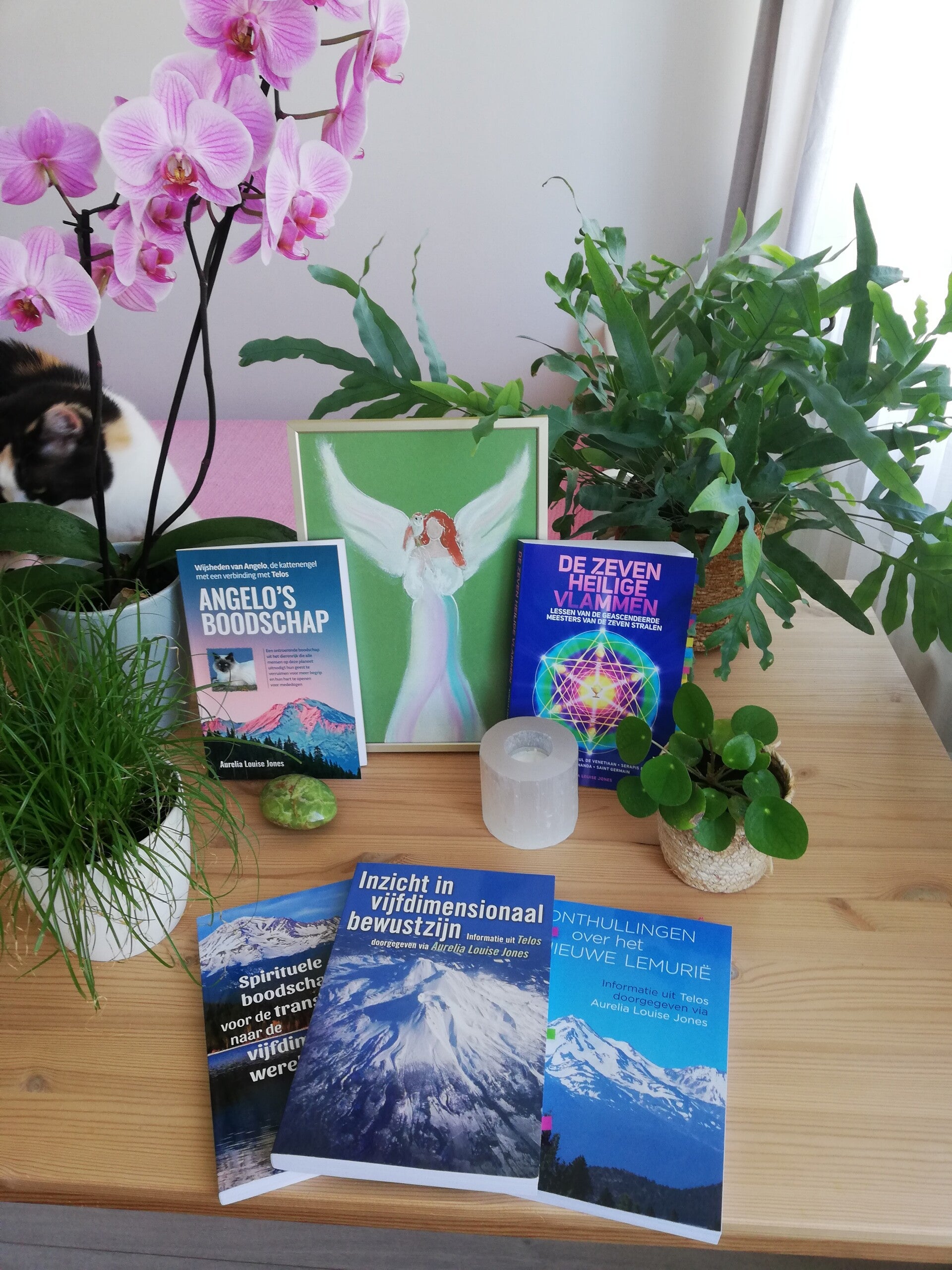 Spiritueel altaar met boeken over vijfdimensionaal bewustzijn van Aurelia Louise Jones en een roze orchidee