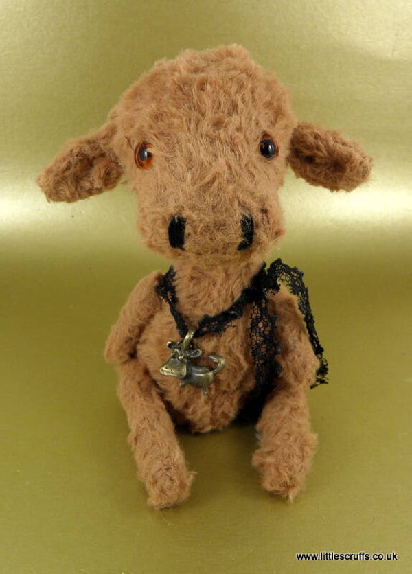 Faith, a gentle miniature brown cow