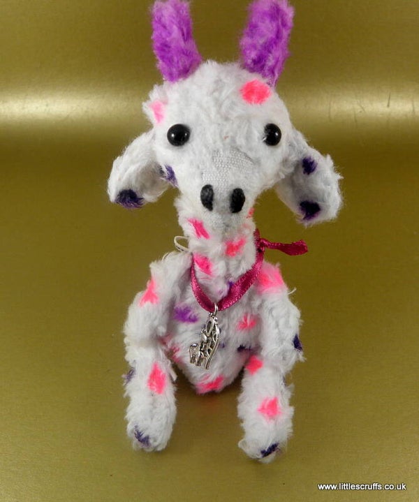 Gracie, a sweet little Giraffe