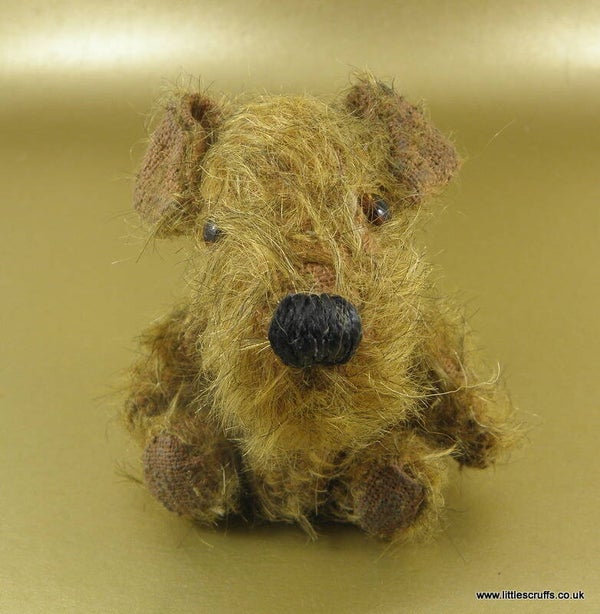 Miniature terrier dog Rupert   SOLD