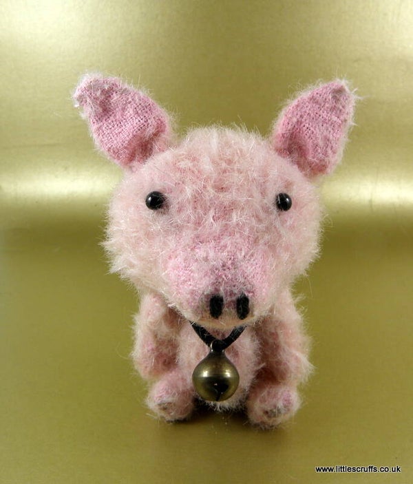 Poppleton, a really sweet little pig.