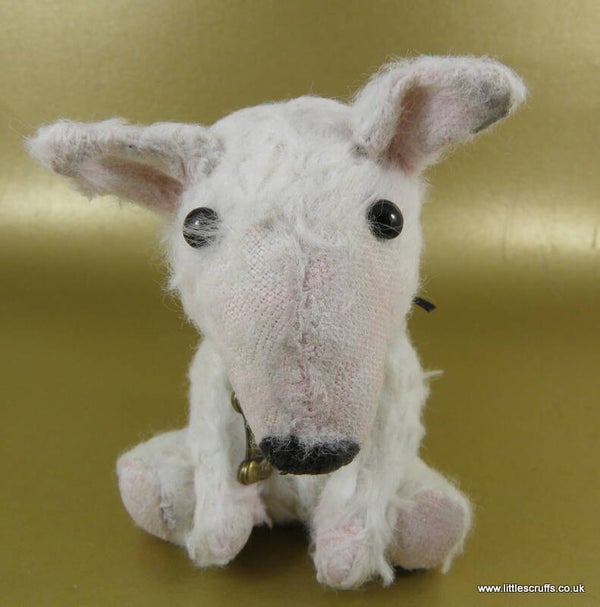 Winston, an English Bull Terrier   NEW