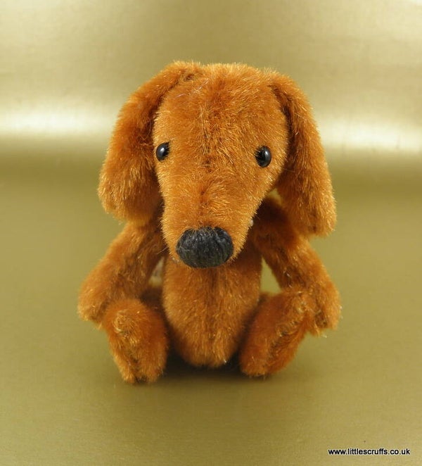Gold Dachshund  SOLD