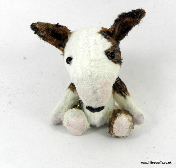 Otto, a brindle and white Bull Terrier