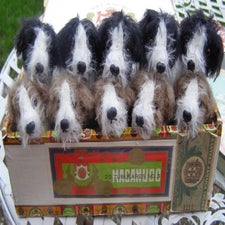 cigarboxofdogs-1.jpg
