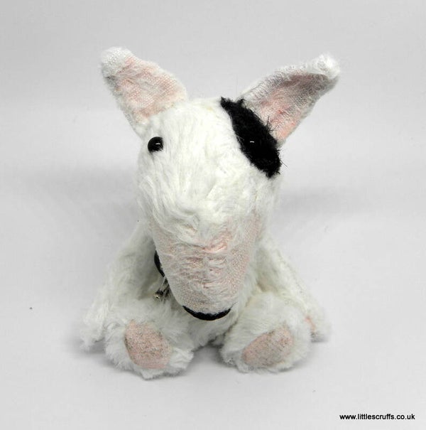 Rex, a little white English Bull Terrier with black patch over eye.