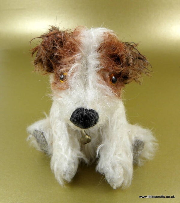 River, a little Terrier