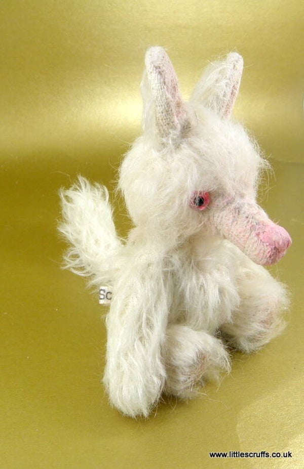Snow, a rare Albino Fox